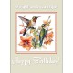FLORAL BEAUTIES GREETING CARD Hummingbird 6